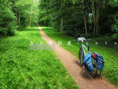 女方吞財產(chǎn)不想離婚怎么辦