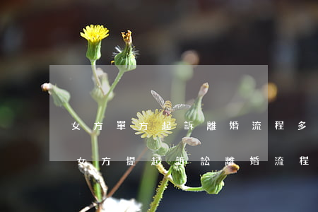 女方單方起訴離婚流程多少錢(qián)(女方提起訴訟離婚流程)
