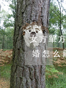 女方單方面起訴離婚能離掉嗎(單方面起訴離婚怎么離婚需要什么手續(xù))