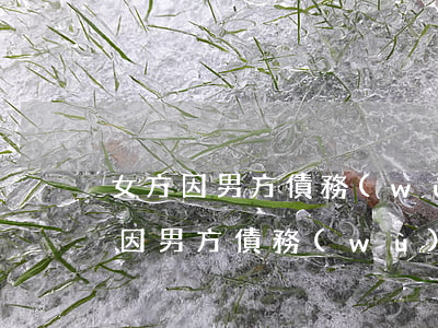 女方因男方債務(wù)問題提出離婚(女方因男方債務(wù)問題提出離婚)