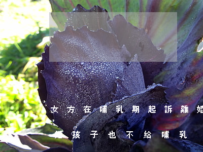 女方在哺乳期起訴離婚(女方在哺乳期起訴離婚孩子也不給哺乳)