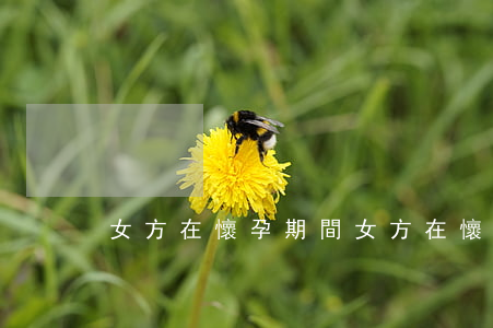 女方在懷孕期間(女方在懷孕期間,分娩后)