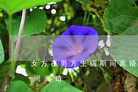 女方在男方生病期间离婚(女方在男方生病期间离婚)