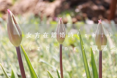 女方在離婚時(shí)應(yīng)爭(zhēng)取哪些法律權(quán)利
