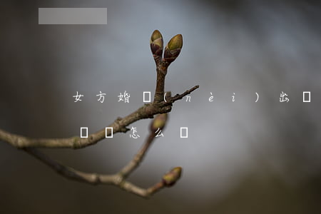 女方婚內(nèi)出軌離婚協(xié)議書怎么寫