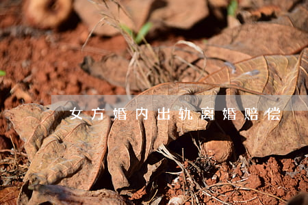 女方婚内出轨离婚赔偿