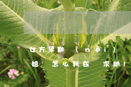 女方孕期內(nèi)離婚(孕期女方提出離婚會怎么判??在線求助!!!!)