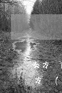 女方強(qiáng)制男方離婚的條件(女方堅(jiān)持離婚,男方可以提什么要求)