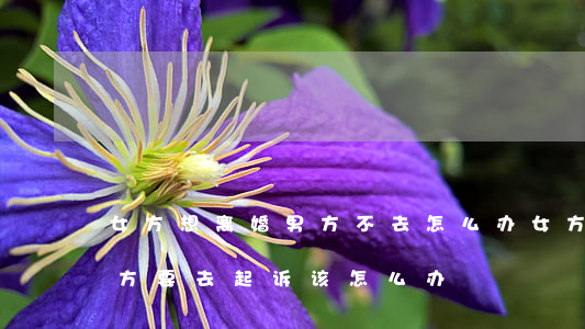 女方想离婚男方不去怎么办(女方不想离婚男方要去起诉,该怎么办)