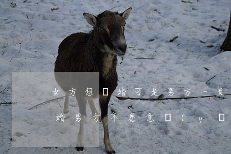 女方想離婚可是男方一直不愿離(女方愿意離婚,男方不愿意,應(yīng)該怎么處理)