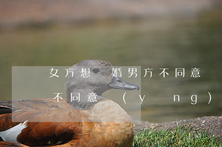 女方想離婚男方不同意離婚(女方想離婚男方不同意 應(yīng)該怎么辦理離婚)