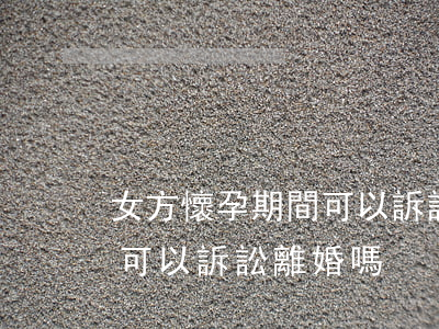 女方懷孕期間可以訴訟離婚嗎(女方懷孕期間可以訴訟離婚嗎)