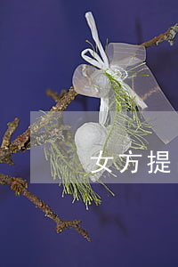 女方提出离婚但怀孕