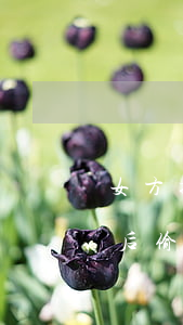 女方提出離婚后偷賣房怎么辦(女方提出離婚后偷賣房怎么辦)