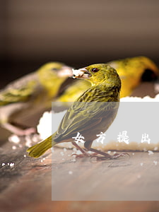 女方提出離婚孩子怎么判兩個孩子