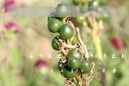 女方提出離婚孩子怎么判撫養(yǎng)權(quán)(夫妻離婚女方怎么能獲得孩子撫養(yǎng)權(quán))