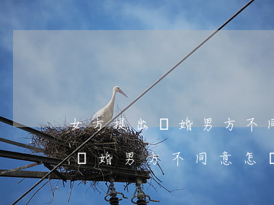 女方提出離婚男方不同意怎樣處理(女方提出離婚男方不同意怎樣處理小孩誰撫養(yǎng)權(quán))