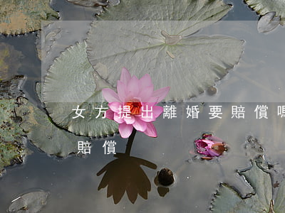 女方提出離婚要賠償嗎(離婚女方能要求什么賠償)