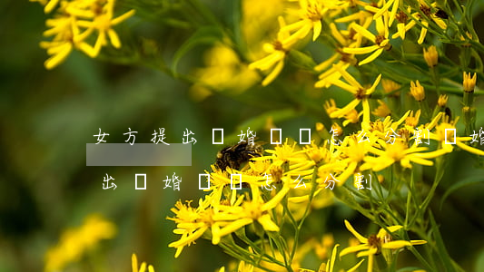 女方提出離婚財產怎么分割(結婚一年女方提出離婚財產怎么分割)
