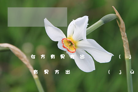 女方有男方出軌證據(jù)怎么離婚(女方有男方出軌證據(jù)怎么離婚)