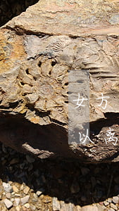 女方有病有孩子离婚要孩子(女方患病男方可以离婚吗)