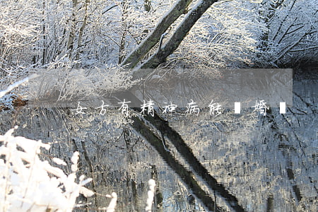 女方有精神病能離婚嗎