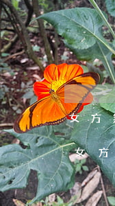 女方無財產(chǎn)離婚后戶口怎么辦(女方無財產(chǎn)離婚后戶口怎么辦)