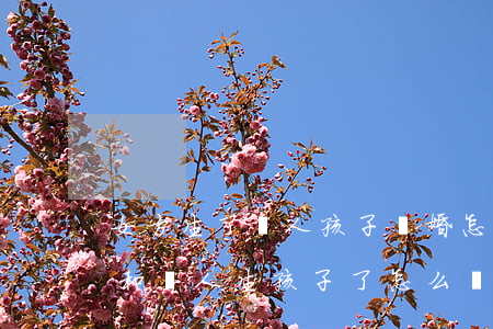 女方生了別人孩子離婚怎么分(女方還沒離婚和別人生孩子了怎么辦?)