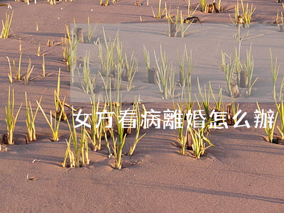 女方看病離婚怎么辦