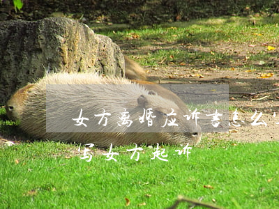 女方离婚应诉书怎么写(起诉离婚协议书怎么写女方起诉)