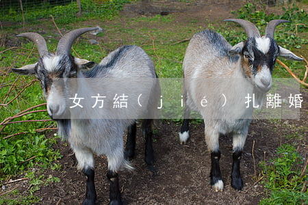女方結(jié)扎離婚2個孩子