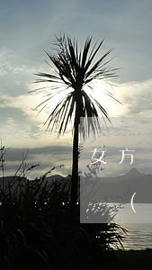 女方網(wǎng)貸男方起訴離婚(男方欠網(wǎng)貸女方提出離婚了)