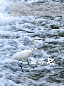 女方缺錢離婚怎么辦