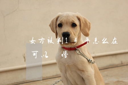 女方被判14年怎么在異地離婚(女方在異地可以離婚嗎)