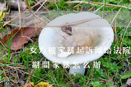 女方被家暴起訴離婚法院會怎么判(起訴離婚期間家暴怎么辦)