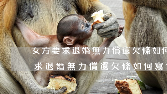女方要求退婚無力償還欠條如何寫-女方要求退婚無力償還欠條如何寫才有效