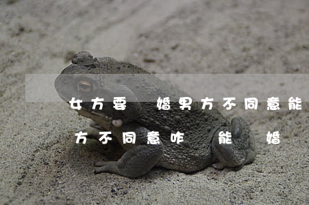 女方要離婚男方不同意能離嗎(女方提離婚男方不同意咋樣能離婚)