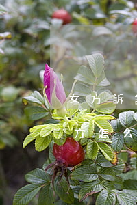 女方訴訟離婚男方怎么應對(女方起訴離婚男方怎么辦)