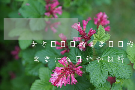 女方訴訟離婚需要準備的材料(女方起訴離婚需要什么證件和材料)
