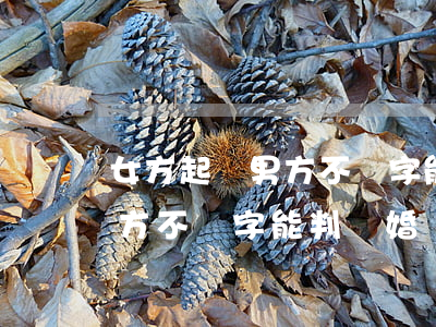 女方起訴男方不簽字能判離婚嗎(女方起訴男方不簽字能判離婚嗎)
