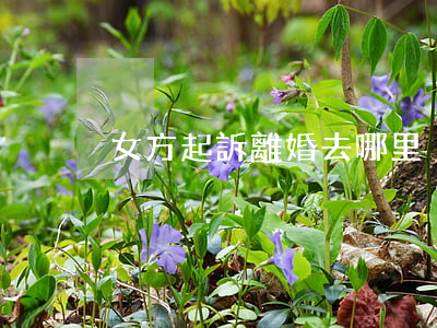 女方起訴離婚去哪里