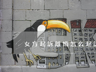 女方起訴離婚怎么起訴(女方怎么起訴離婚?)