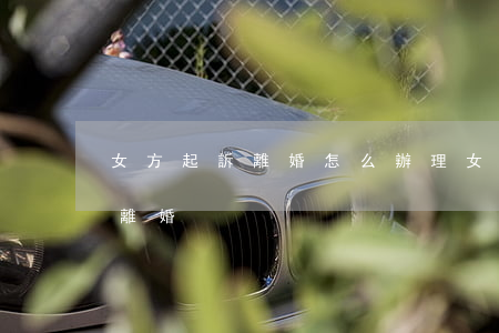 女方起訴離婚怎么辦理(女方離婚該怎么起訴離婚)