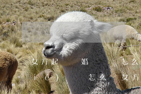 女方起訴離婚訴訟書怎么寫(起訴離婚協(xié)議書怎么寫女方起訴)