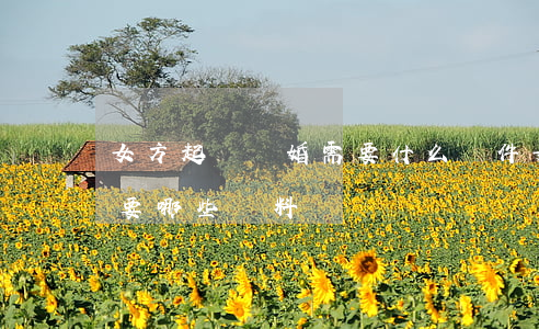 女方起訴離婚需要什么證件(女方起訴離婚需要哪些資料)