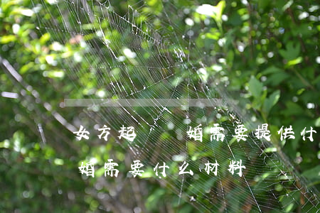 女方起訴離婚需要提供什么材料(女的起訴離婚需要什么材料)