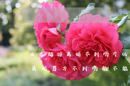 女方起诉离婚不到场可以吗(女方到法院起诉离婚男方不到场能不能离婚)