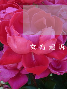 女方起诉离婚书样本