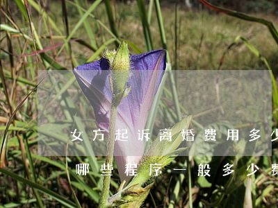 女方起诉离婚费用多少钱(女方起诉离婚需要哪些程序,一般多少费用)