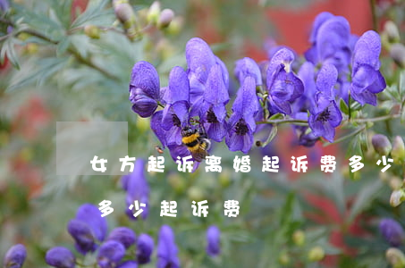 女方起诉离婚起诉费多少钱(请问起诉离婚要多少起诉费)